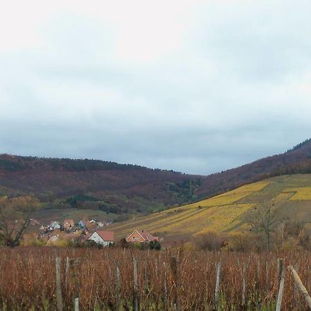 Apartment Route Du Vin Centre Alsace Orschwiller Bilik gambar