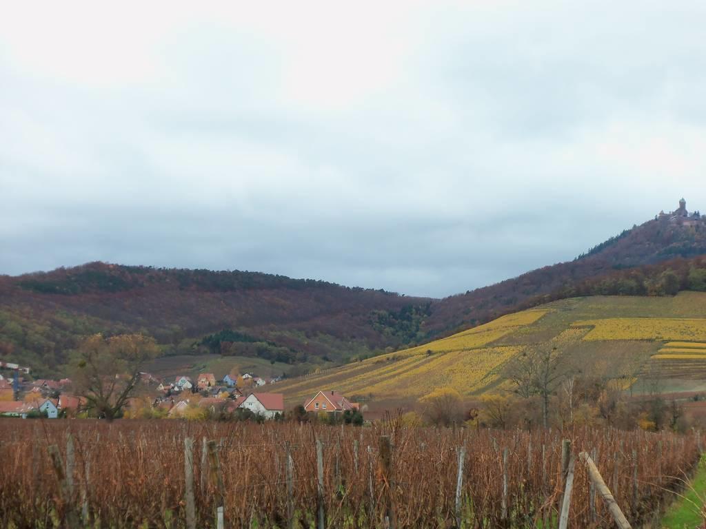 Apartment Route Du Vin Centre Alsace Orschwiller Bilik gambar